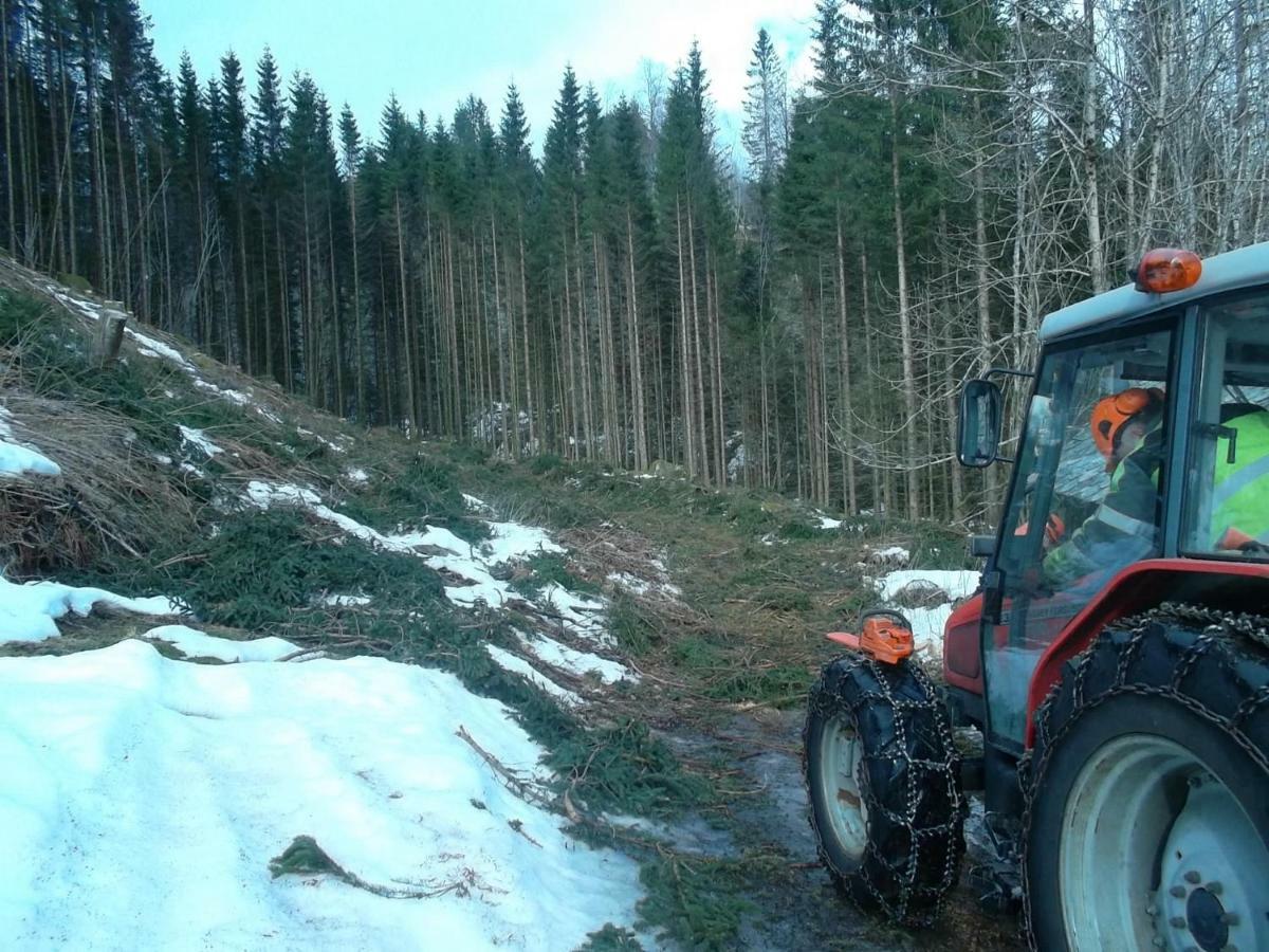 Mo Gardsferie-Pers Frukthage Villa Øystese Екстериор снимка